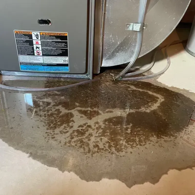 Appliance Leak Cleanup in Greene, NY